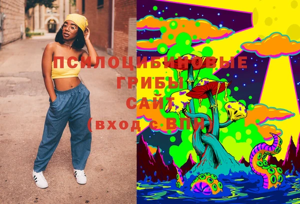 шишки Балабаново