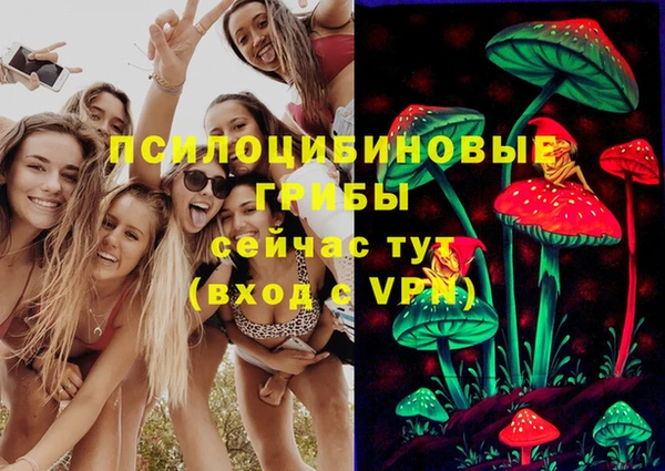 шишки Балабаново