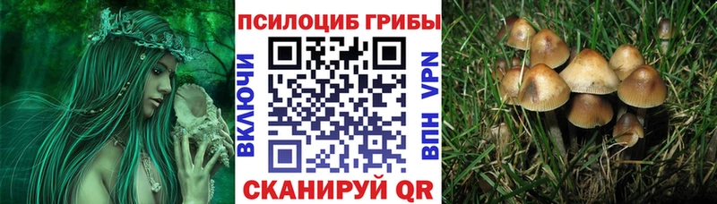 Псилоцибиновые грибы Psilocybe  купить наркотик  МЕГА ONION  Петров Вал 